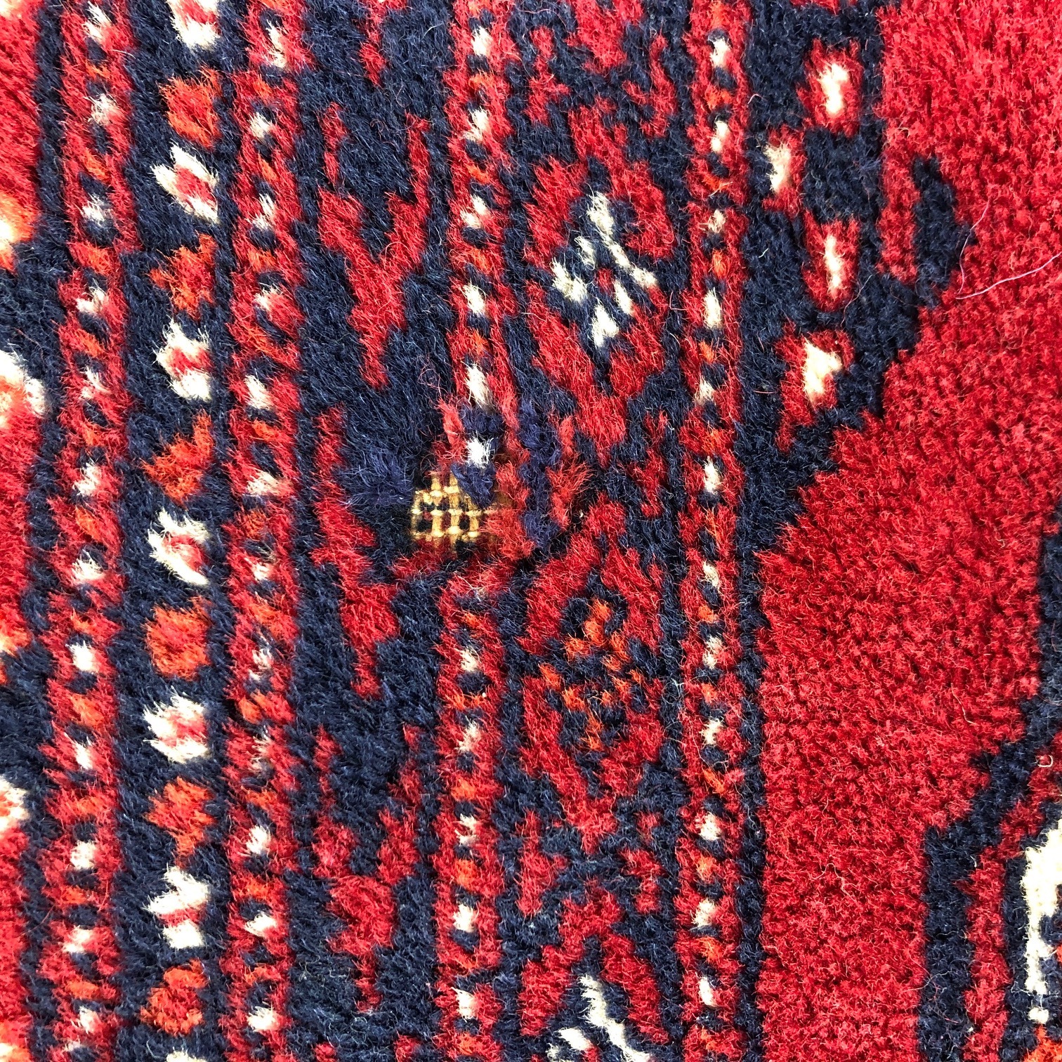 Insect Damage on Wool Rugs Cristomar Insect Damage