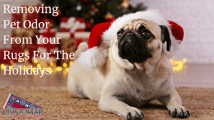 Removing Pet Odor from Your Rugs for The Holidays